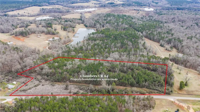 View from the north of the acreage on the south side of the road.