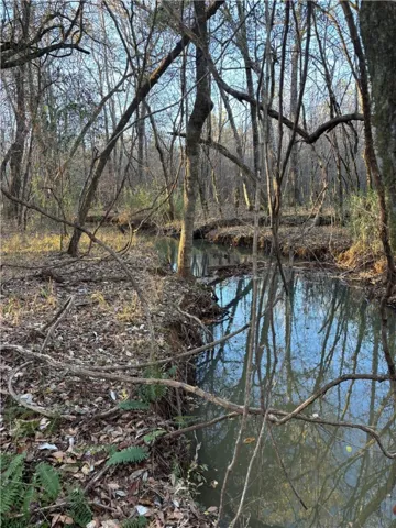 Stream flowing throughout the property.