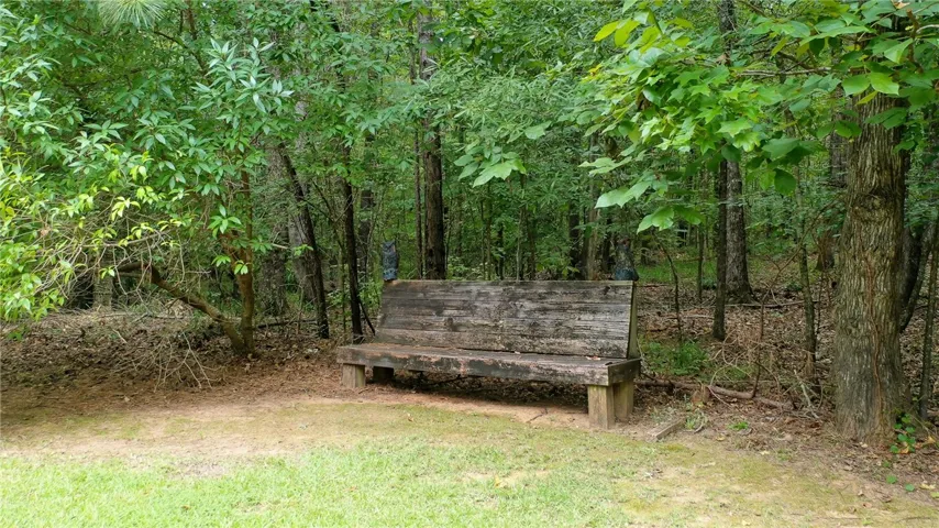 Bench at edge of Back Yard