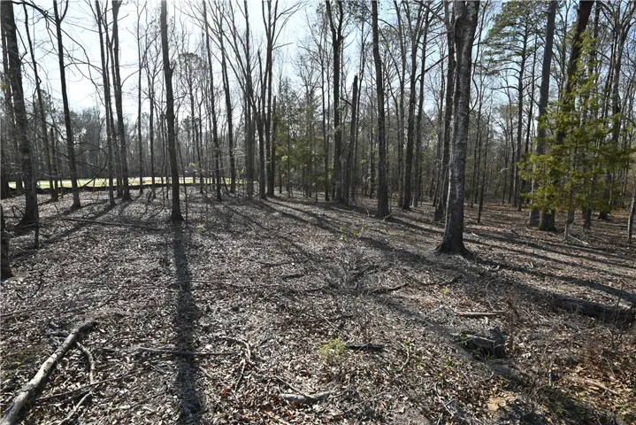 501 Rolling Oaks Court, Auburn, Alabama 36830