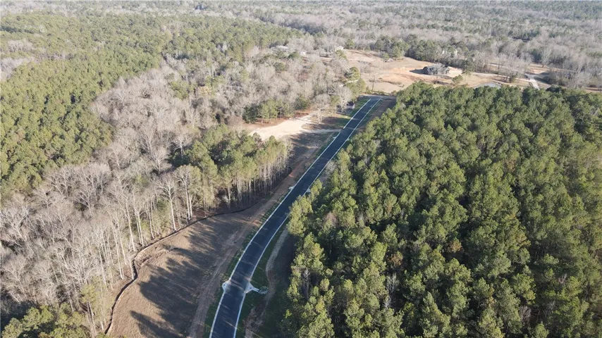 515 Rolling Oaks Court, Auburn, Alabama 36830