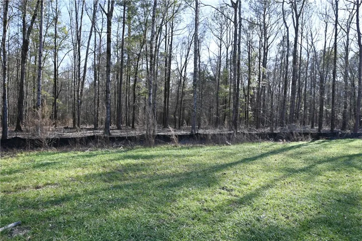 500 Rolling Oaks Court, Auburn, Alabama 36830