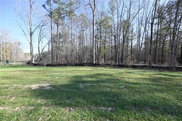 500 Rolling Oaks Court, Auburn, Alabama 36830