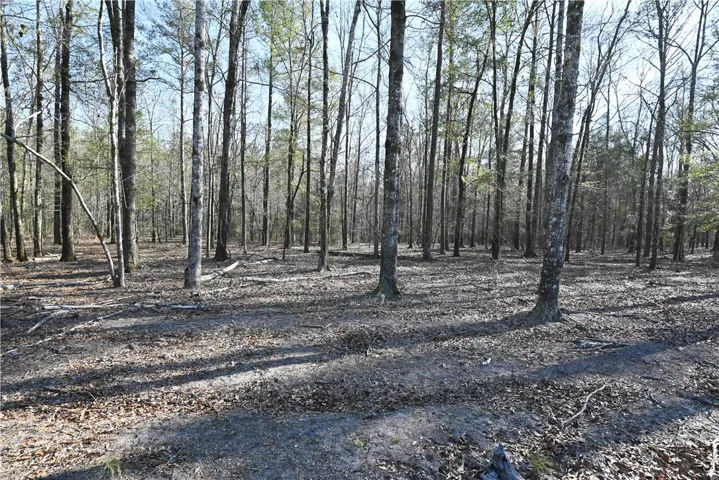 500 Rolling Oaks Court, Auburn, Alabama 36830