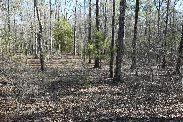 3700 Ridgeline Trail, Auburn, Alabama 36830