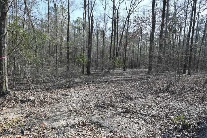 3700 Ridgeline Trail, Auburn, Alabama 36830