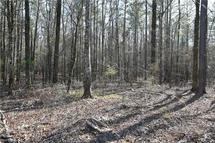3720 Ridgeline Trail, Auburn, Alabama 36830