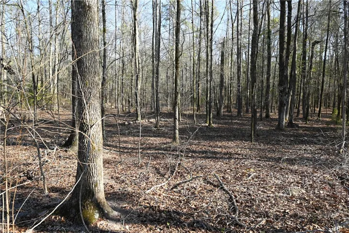 3720 Ridgeline Trail, Auburn, Alabama 36830