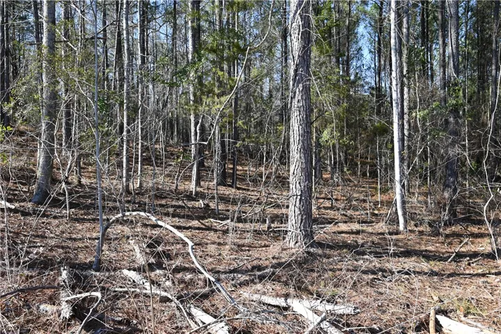3740 Ridgeline Trail, Auburn, Alabama 36830