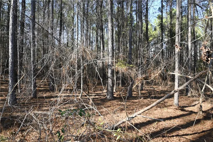 3740 Ridgeline Trail, Auburn, Alabama 36830