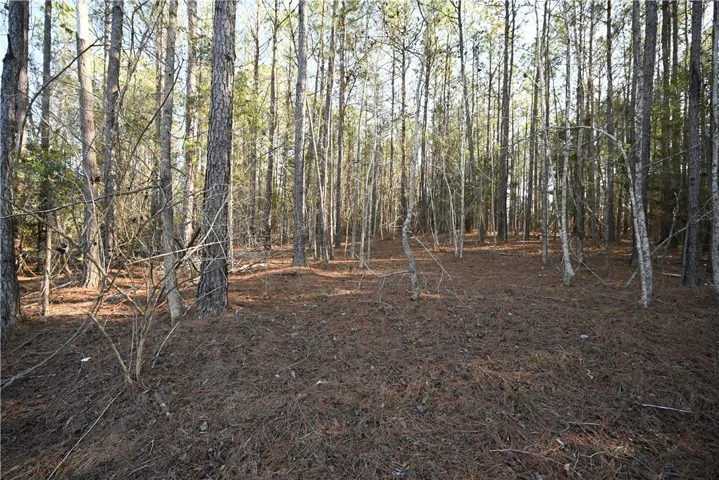 3780 Ridgeline Trail, Auburn, Alabama 36830