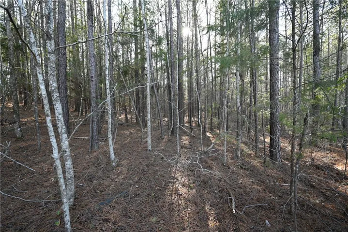 3780 Ridgeline Trail, Auburn, Alabama 36830