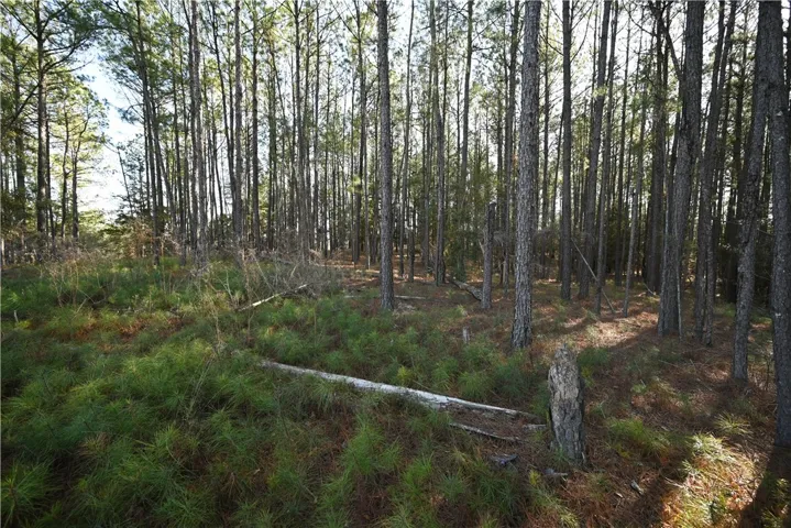 3840 Ridgeline Trail, Auburn, Alabama 36830