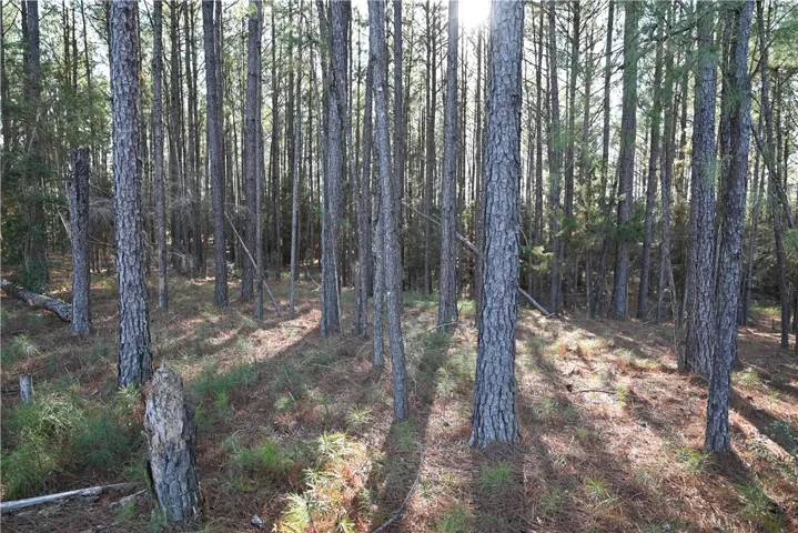3840 Ridgeline Trail, Auburn, Alabama 36830
