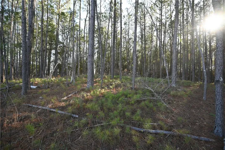 3840 Ridgeline Trail, Auburn, Alabama 36830