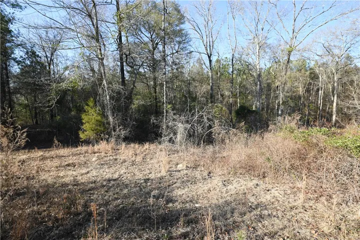 3827 Ridgeline Trail, Auburn, Alabama 36830