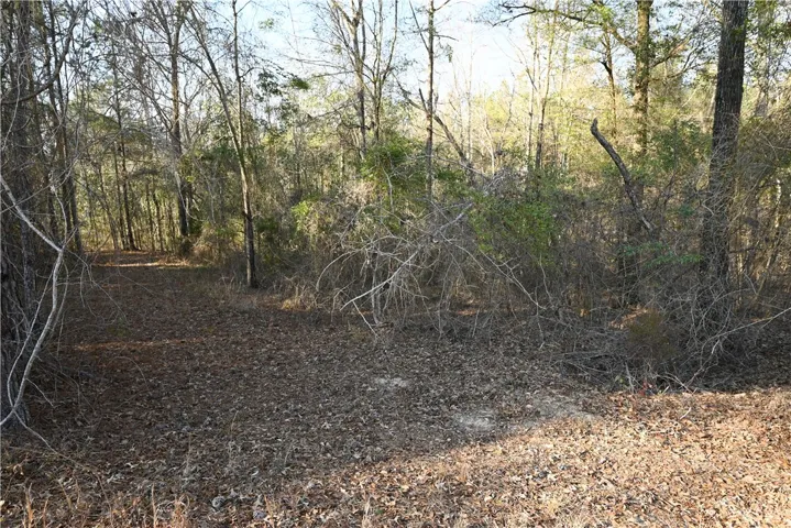 3827 Ridgeline Trail, Auburn, Alabama 36830