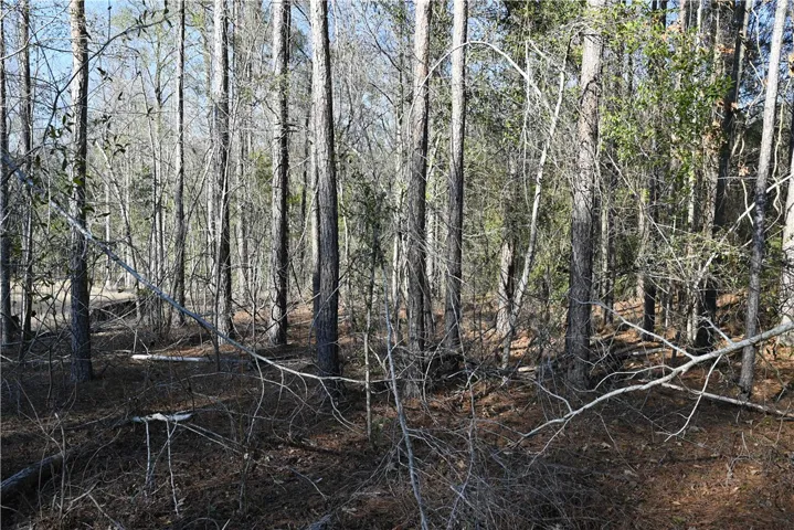 3795 Ridgeline Trail, Auburn, Alabama 36830