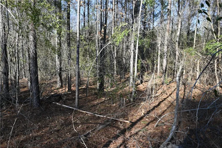 3795 Ridgeline Trail, Auburn, Alabama 36830
