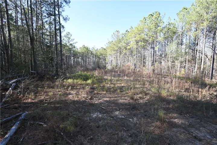 3755 Ridgeline Trail, Auburn, Alabama 36830