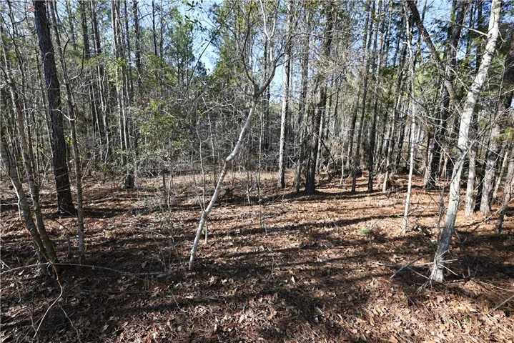 3755 Ridgeline Trail, Auburn, Alabama 36830