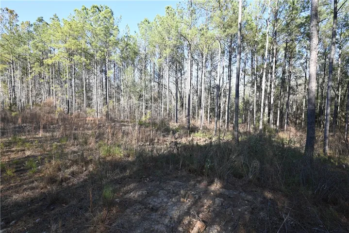 3755 Ridgeline Trail, Auburn, Alabama 36830