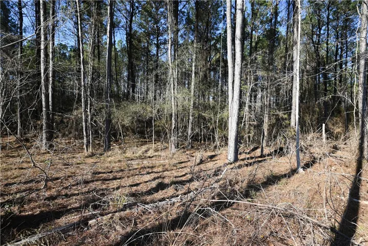 3735 Ridgeline Trail, Auburn, Alabama 36830