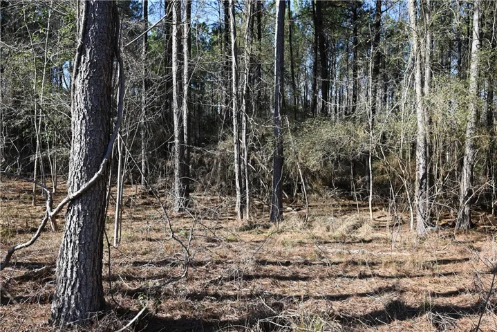 3735 Ridgeline Trail, Auburn, Alabama 36830