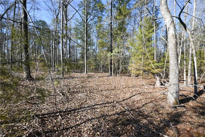 3715 Ridgeline Trail, Auburn, Alabama 36830