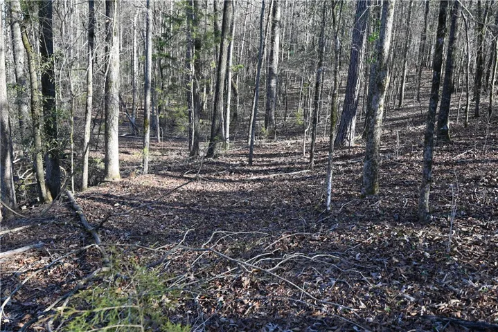 3715 Ridgeline Trail, Auburn, Alabama 36830