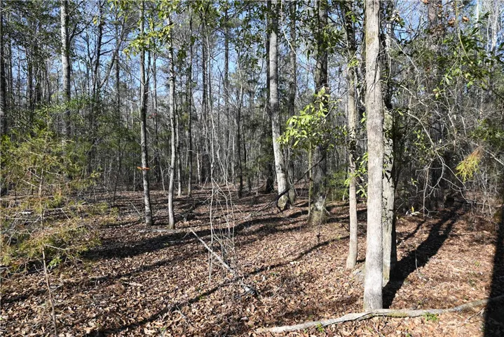 3715 Ridgeline Trail, Auburn, Alabama 36830