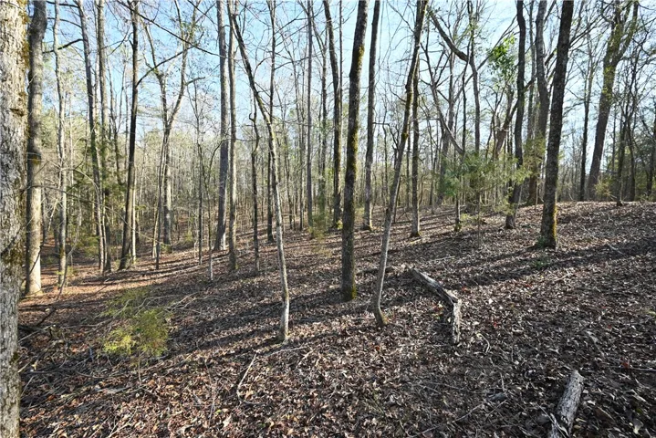3715 Ridgeline Trail, Auburn, Alabama 36830