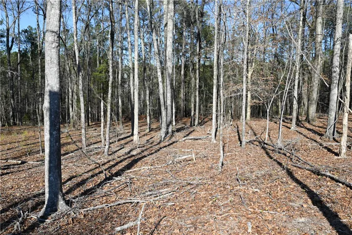3655 Ridgeline Trail, Auburn, Alabama 36830