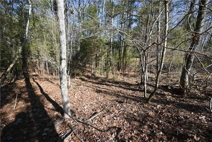 3635 Ridgeline Trail, Auburn, Alabama 36830