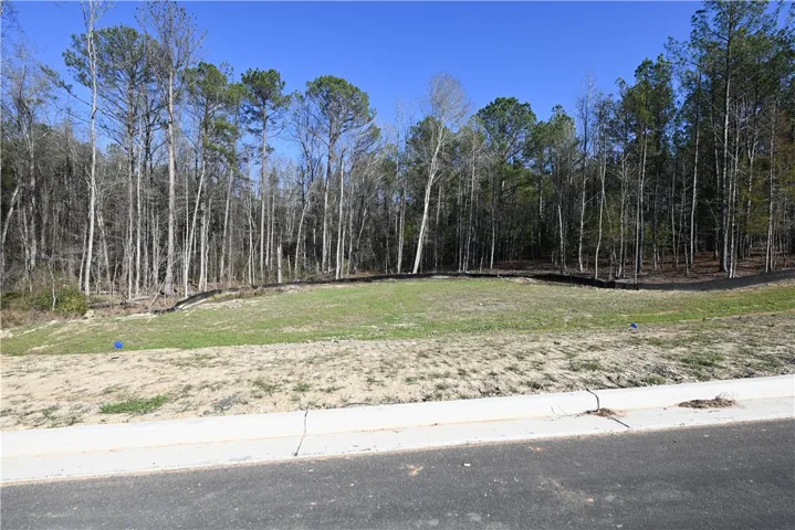 3615 Ridgeline Trail, Auburn, Alabama 36830