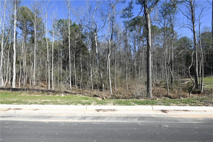 3595 Ridgeline Trail, Auburn, Alabama 36830