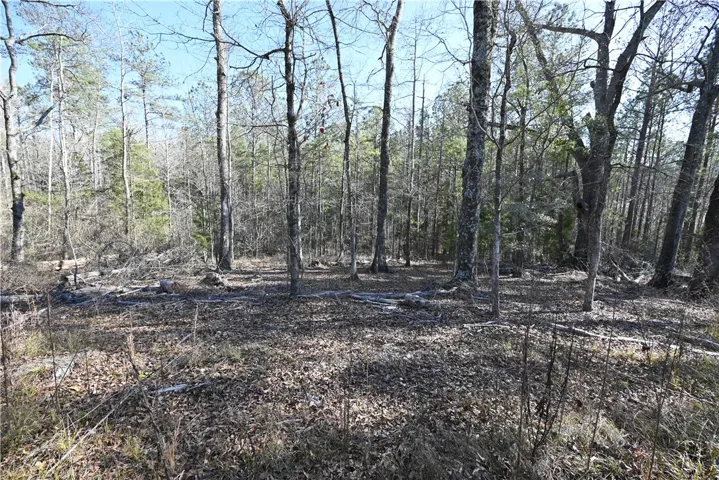 3557 Ridgeline Trail, Auburn, Alabama 36830