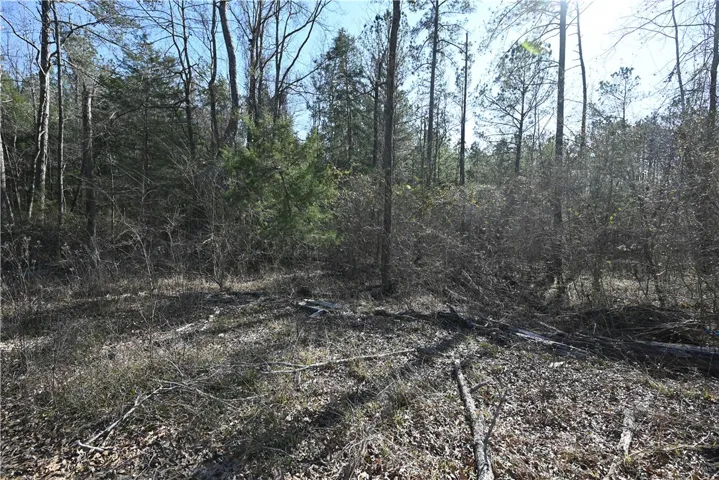 3557 Ridgeline Trail, Auburn, Alabama 36830