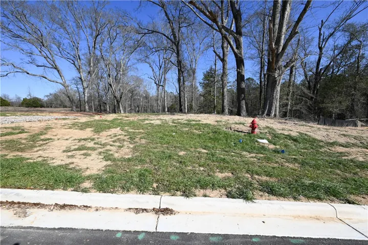 3557 Ridgeline Trail, Auburn, Alabama 36830