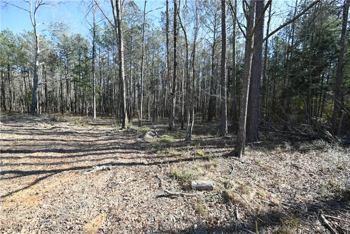 3541 Ridgeline Trail, Auburn, Alabama 36830