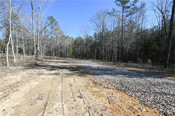 3541 Ridgeline Trail, Auburn, Alabama 36830
