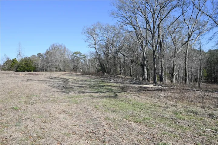 3505 Ridgeline Trail, Auburn, Alabama 36830