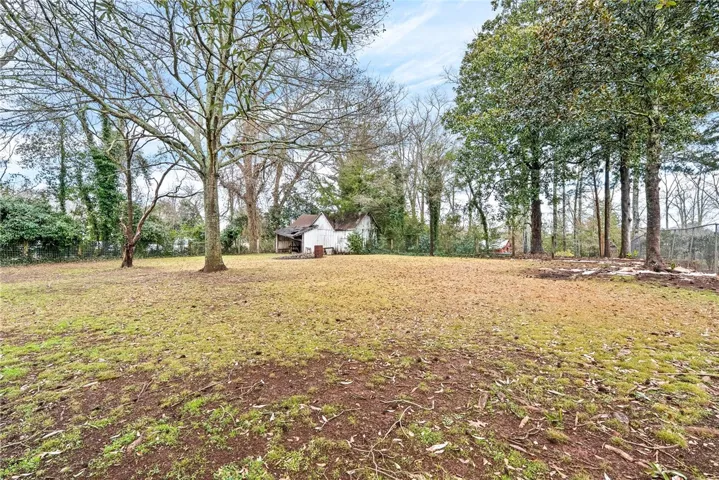 Large backyard - view from the house