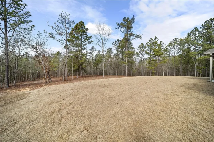 214 Lee Road 2191 N/a, Salem, Alabama 36874