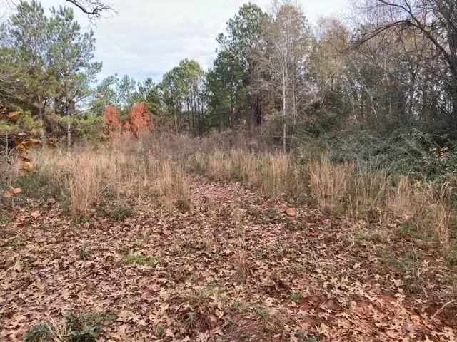 2209 Lafayette Parkway, Opelika, Alabama 36801