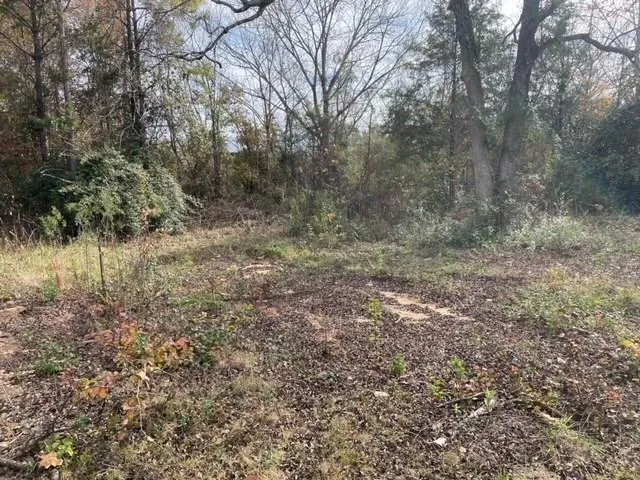 2209 Lafayette Parkway, Opelika, Alabama 36801