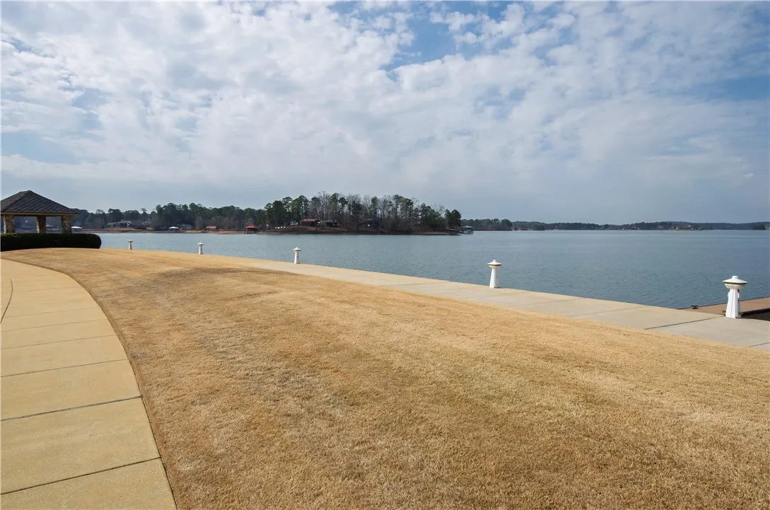 Open Water