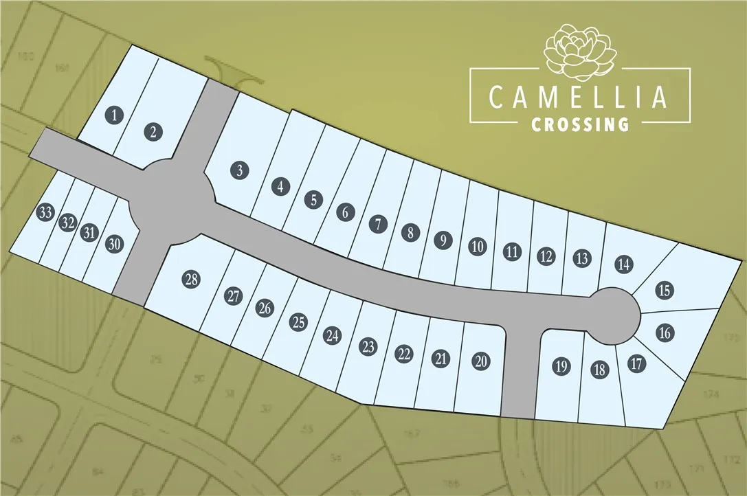 Community Plat Camellia Crossing in Valley, AL!