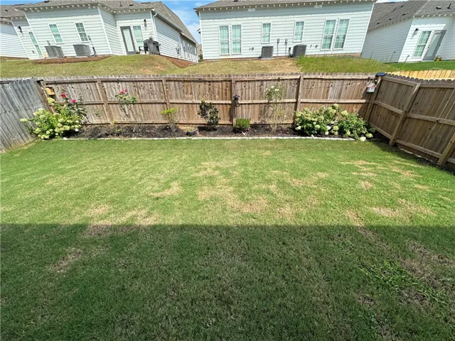 the backyard when it's in bloom