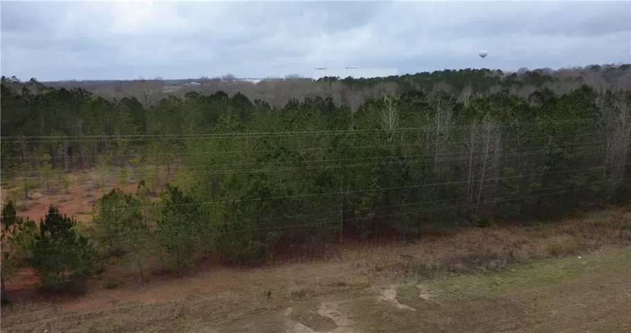 0 Us Highway 231 N/a, Brundidge, Alabama 36010